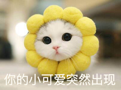 长沙妹陀带你浪迹草莓音乐节
